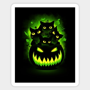 Pumpkin cats Magnet